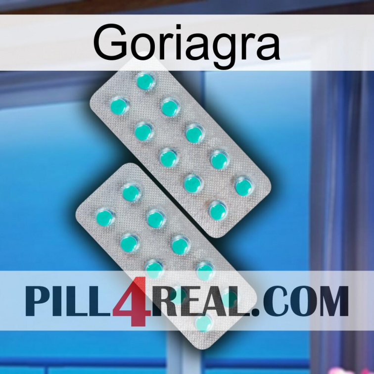 Goriagra 29